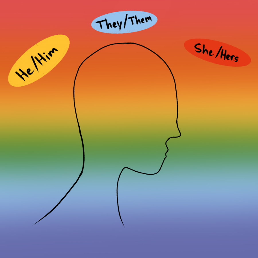 Opinion | Labels, like most things, are fluid
