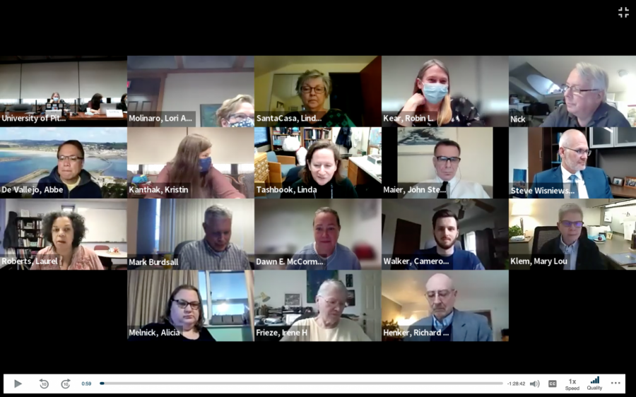 Pitt’s Faculty Assembly met Wednesday afternoon to discuss the future of teaching at Pitt during the COVID-19 pandemic.
