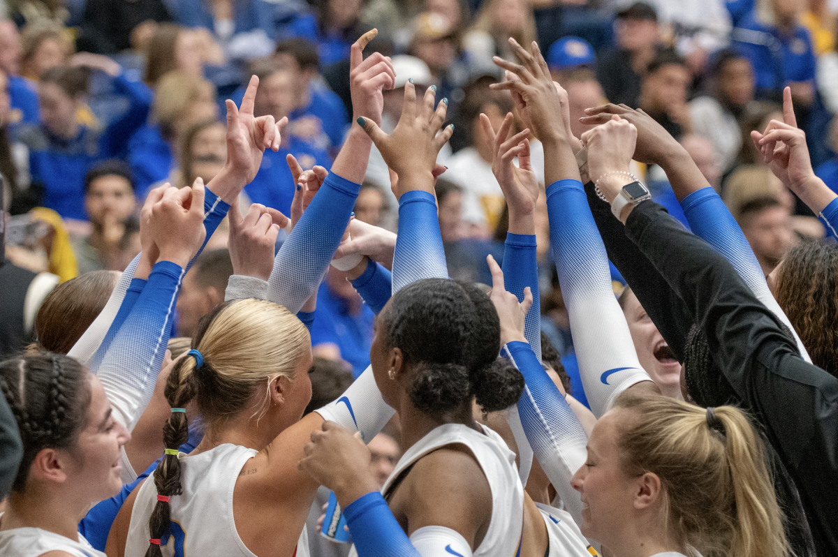 Pitt volleyball in the Fitzgerald Field House during their game against Louisville on Saturday.