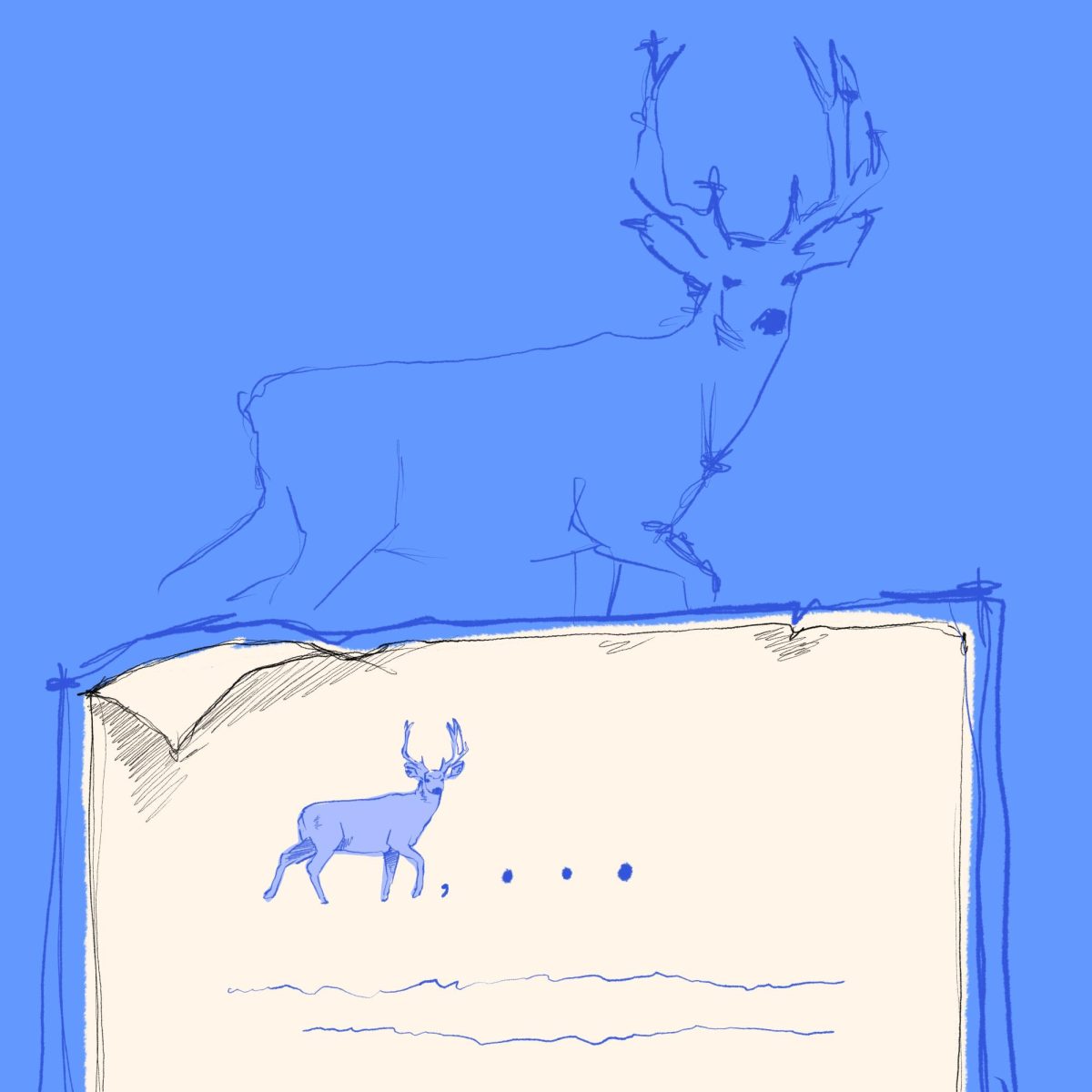 Runner-Up | Deer Sabra